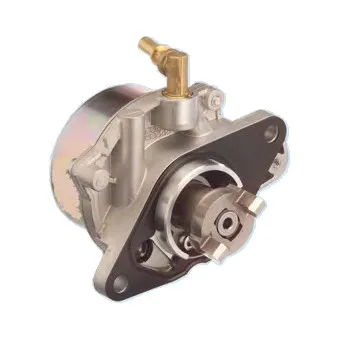 Pompe à vide, freinage HOFFER 8091061
