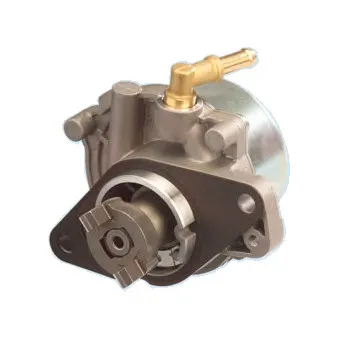 Pompe à vide, freinage HOFFER 8091065