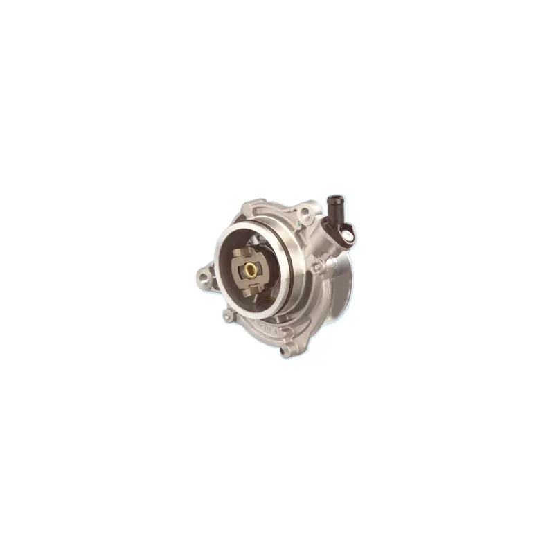 Pompe à vide, freinage HOFFER 8091074