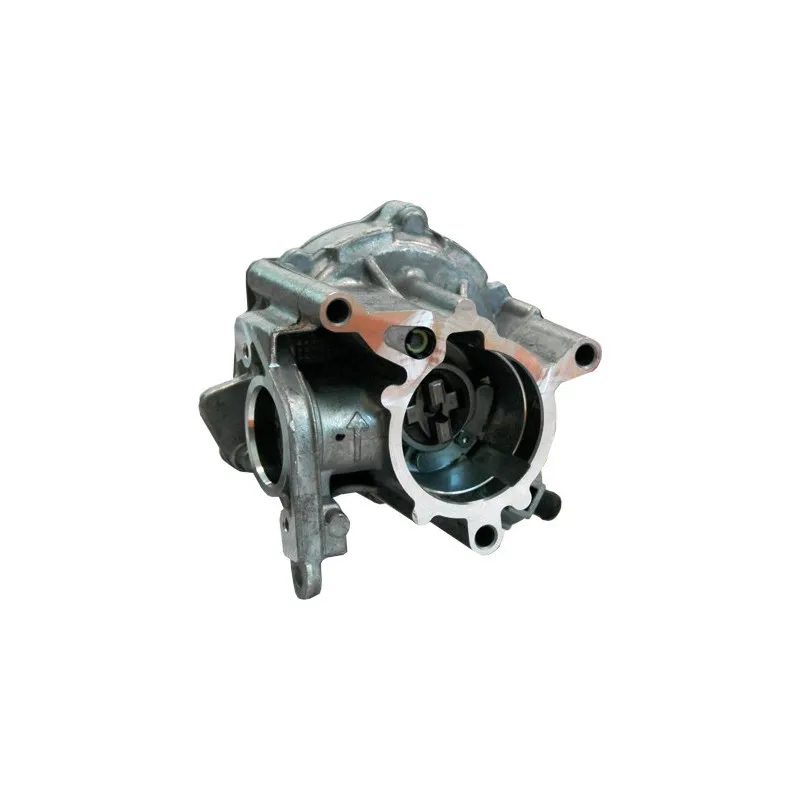 Pompe à vide, freinage HOFFER 8091116
