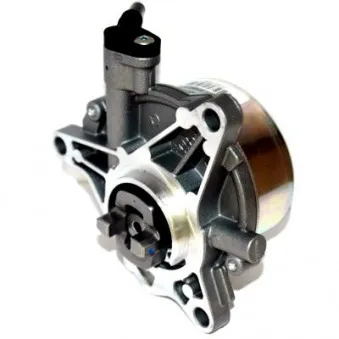 Pompe à vide, freinage HOFFER 8091158