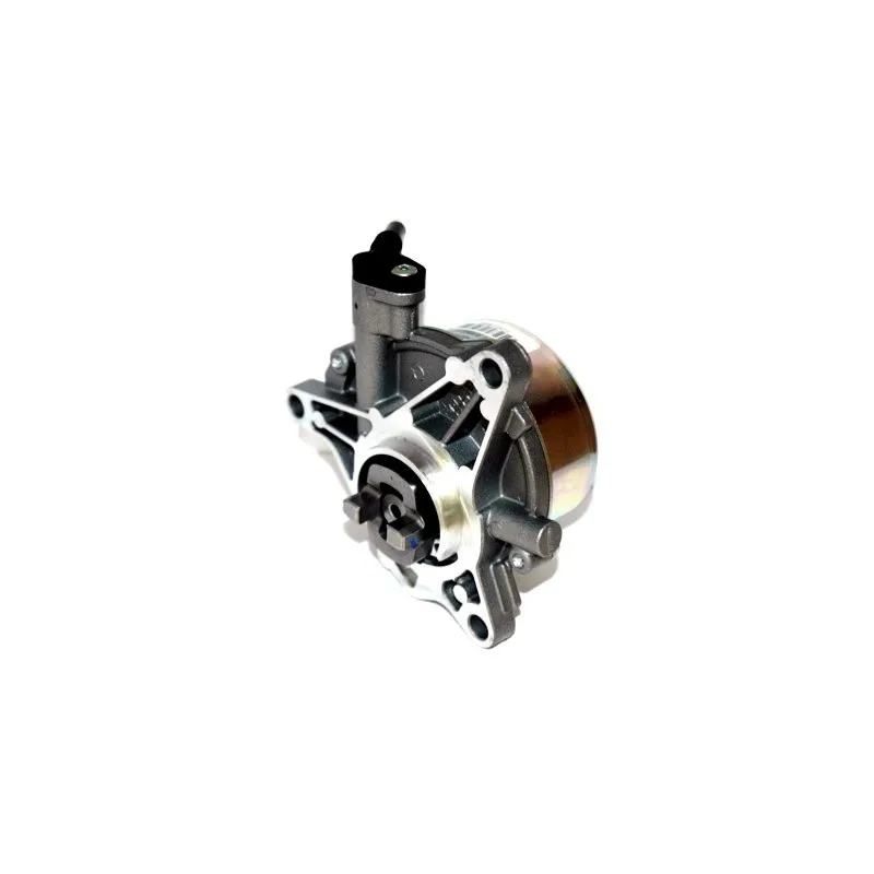 Pompe à vide, freinage HOFFER 8091158