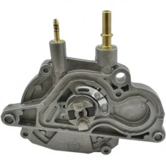 Pompe à vide, freinage HOFFER 8091161