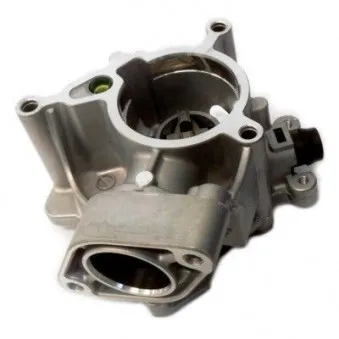 Pompe à vide, freinage HOFFER 8091173