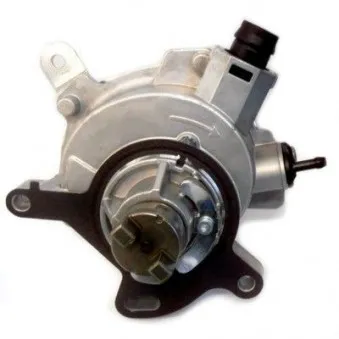 Pompe à vide, freinage HOFFER 8091175