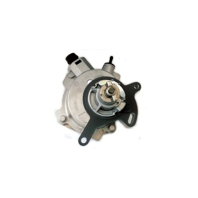 Pompe à vide, freinage HOFFER 8091181