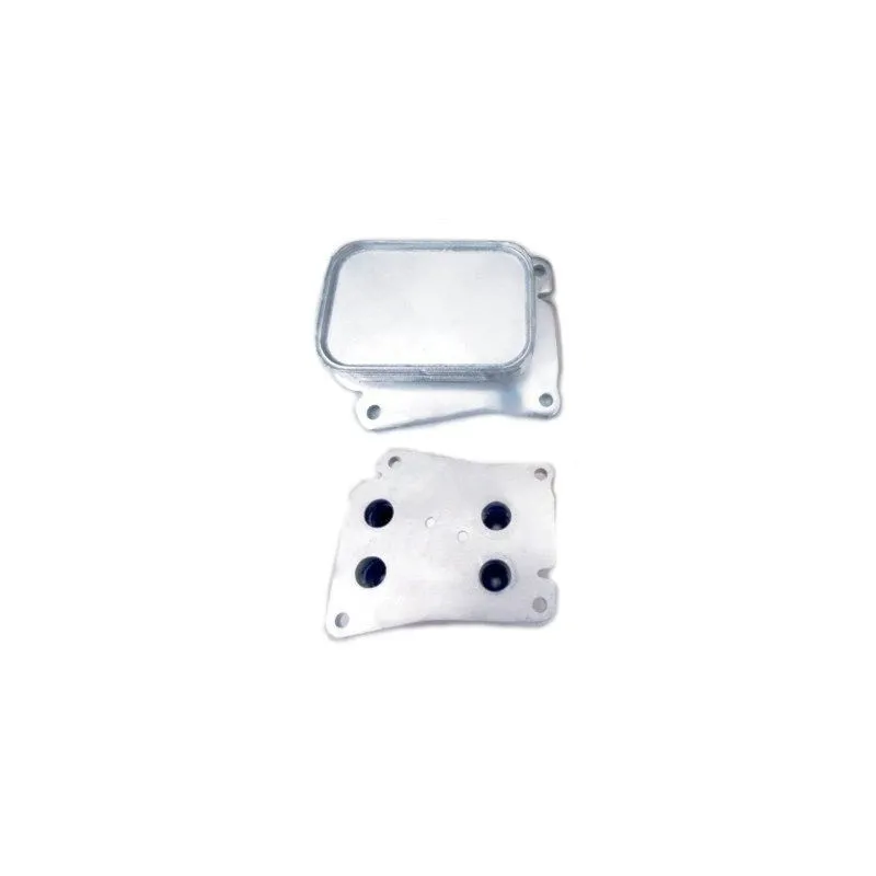 Radiateur d'huile HOFFER 8095024