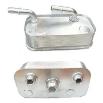 Radiateur d'huile de boîte automatique HOFFER 8095027