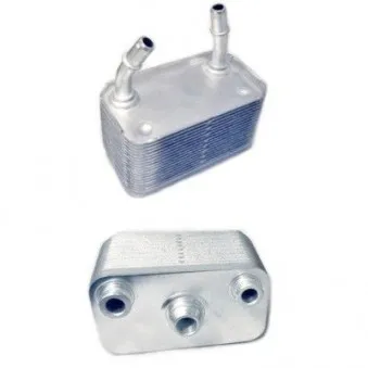 Radiateur d'huile de boîte automatique HOFFER 8095031
