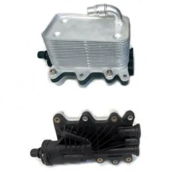 Radiateur d'huile de boîte automatique HOFFER 8095034