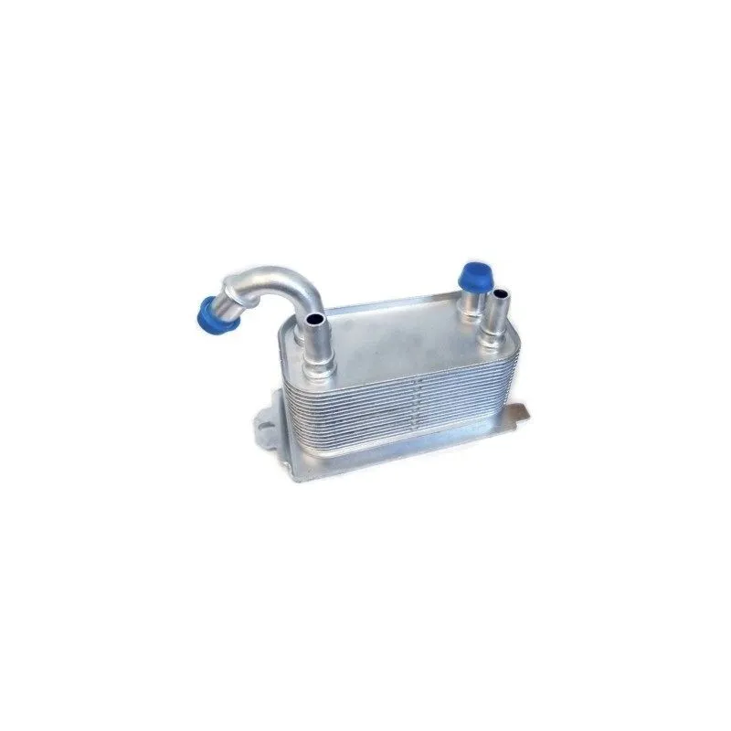 Radiateur d'huile de boîte automatique HOFFER 8095038