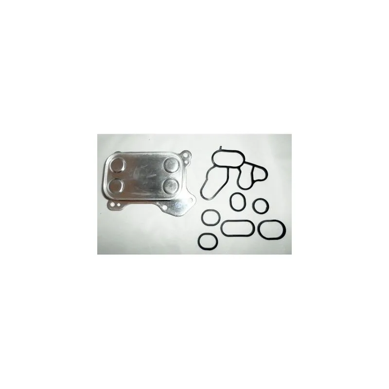 Radiateur d'huile HOFFER 8095063