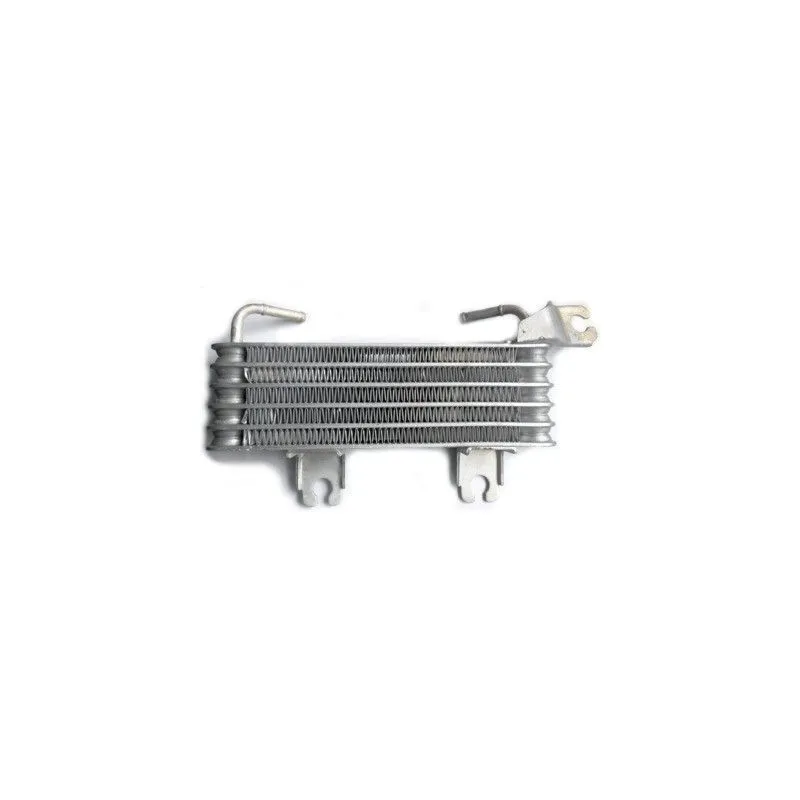 Radiateur d'huile HOFFER 8095064