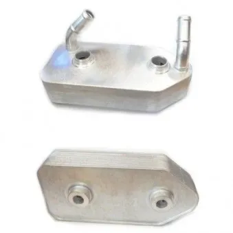 Radiateur d'huile de boîte automatique HOFFER 8095073