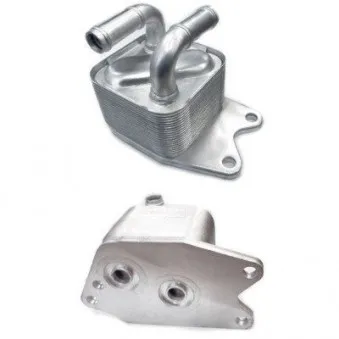 Radiateur d'huile de boîte automatique HOFFER 8095080