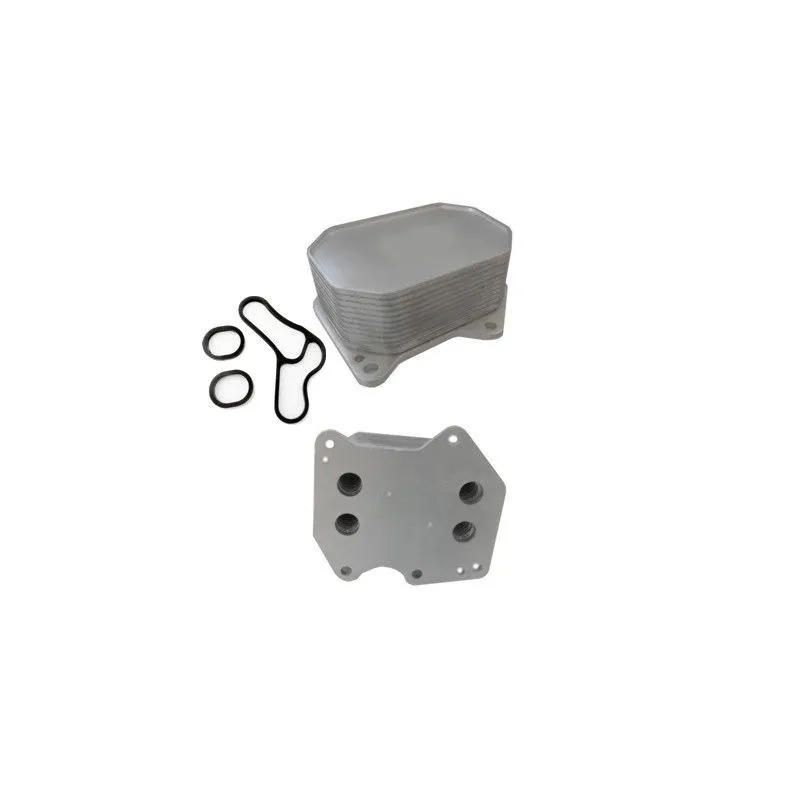 Radiateur d'huile HOFFER 8095095S