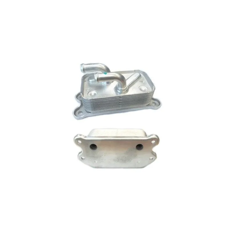 Radiateur d'huile HOFFER 8095097