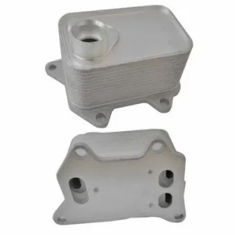 Radiateur d'huile HOFFER 8095121
