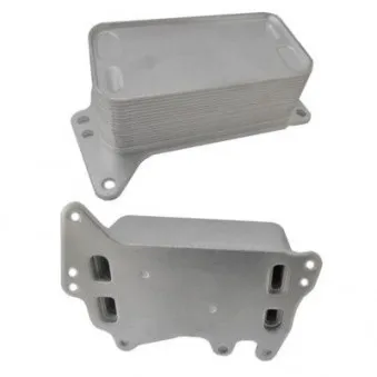 Radiateur d'huile de boîte automatique HOFFER 8095131