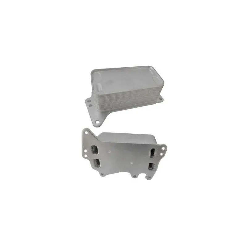 Radiateur d'huile de boîte automatique HOFFER 8095131
