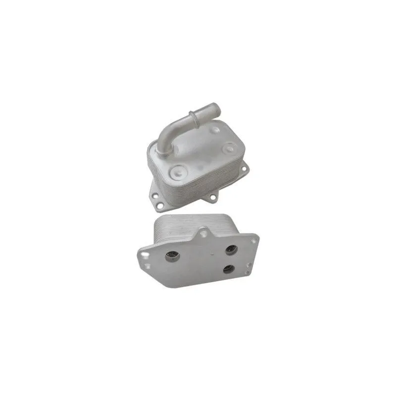 Radiateur d'huile HOFFER 8095143