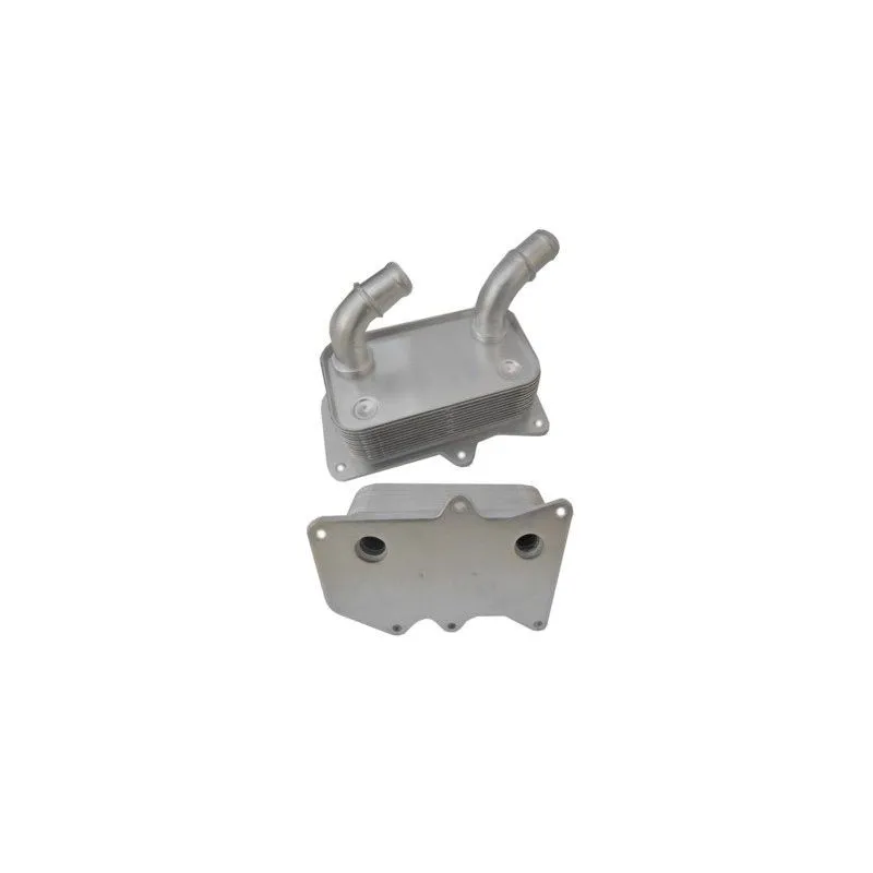 Radiateur d'huile HOFFER 8095145