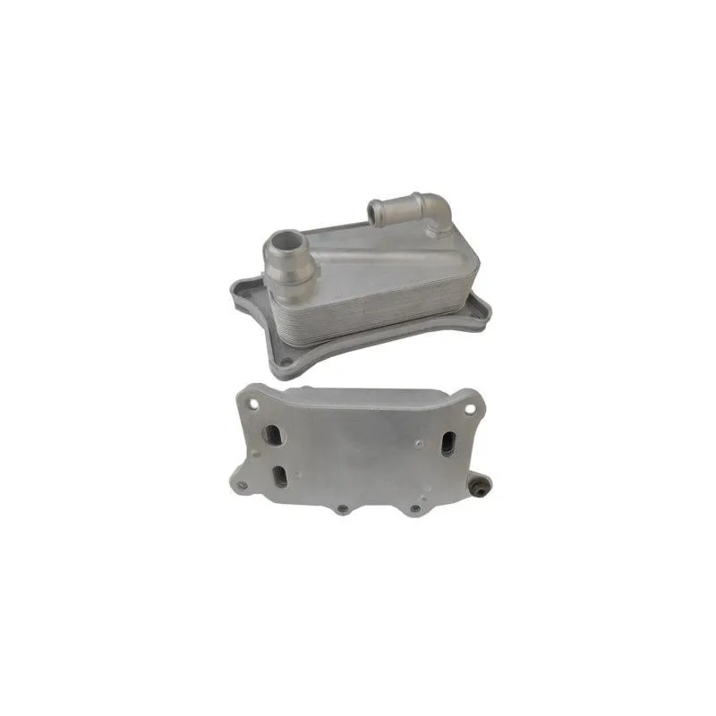 Radiateur d'huile HOFFER 8095152