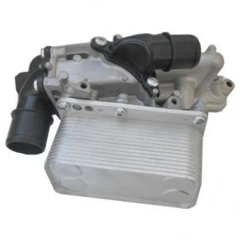Radiateur d'huile HOFFER 8095162C