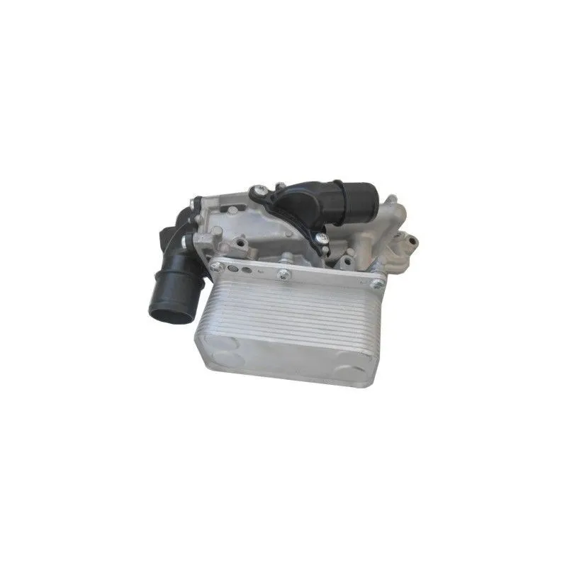 Radiateur d'huile HOFFER 8095162C