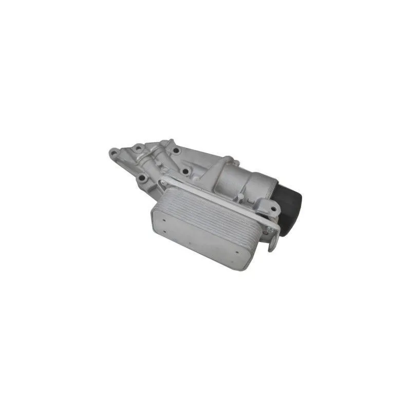 Radiateur d'huile HOFFER 8095173C