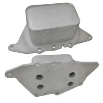 Radiateur d'huile HOFFER 8095179