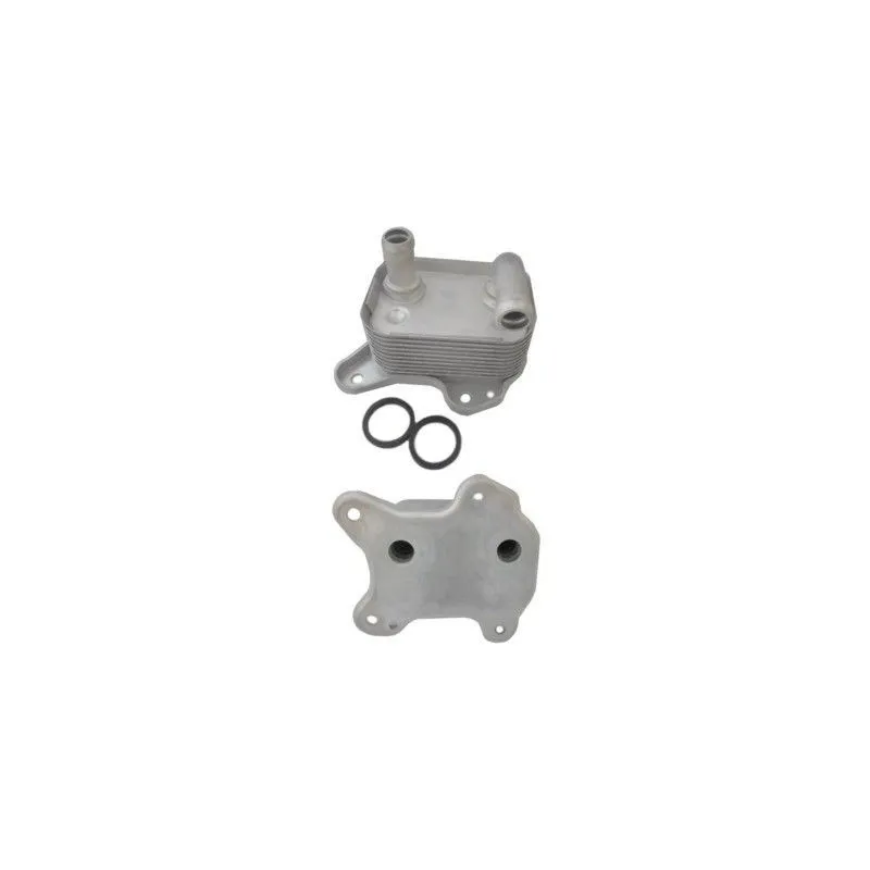 Radiateur d'huile HOFFER 8095190