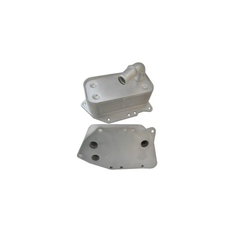 Radiateur d'huile HOFFER 8095191