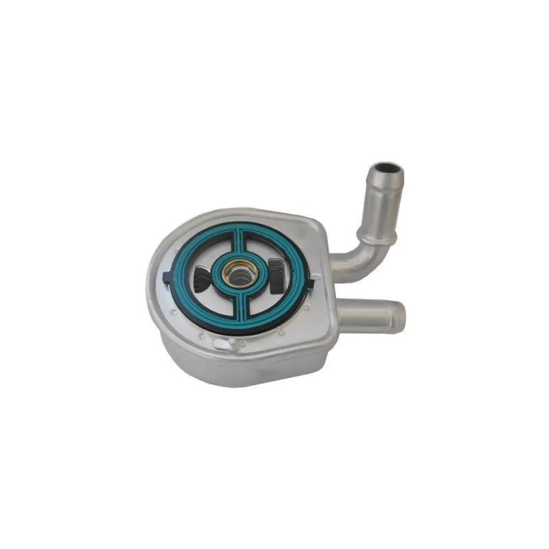 Radiateur d'huile HOFFER 8095198