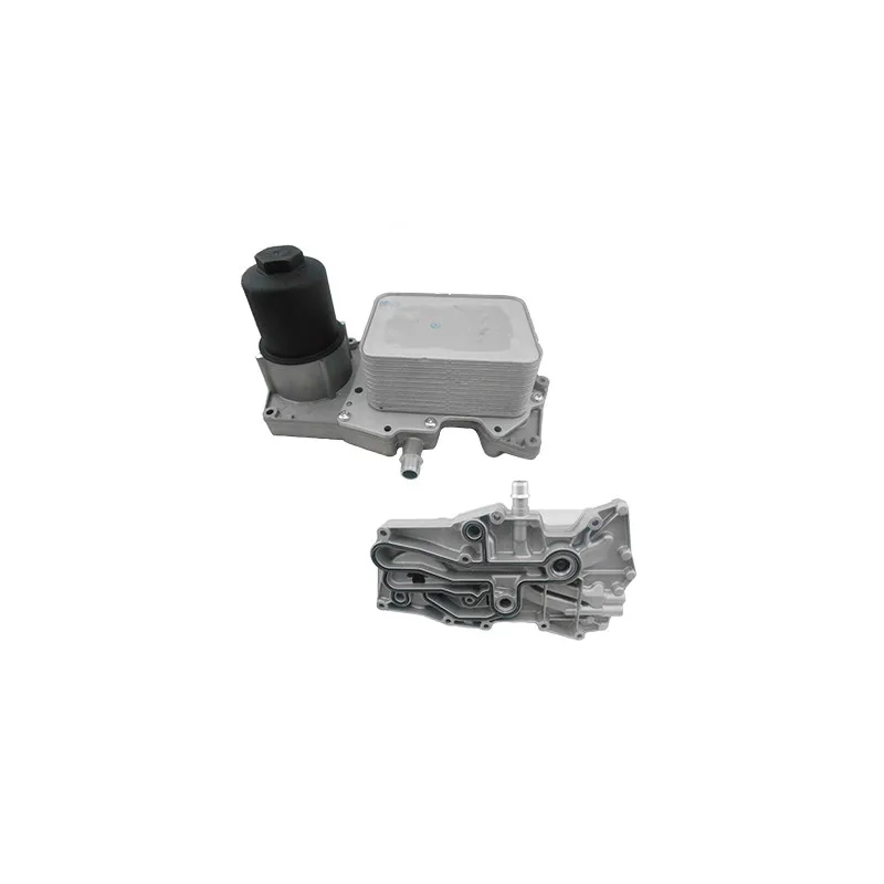 Boîtier, filtre à huile HOFFER 8095203C