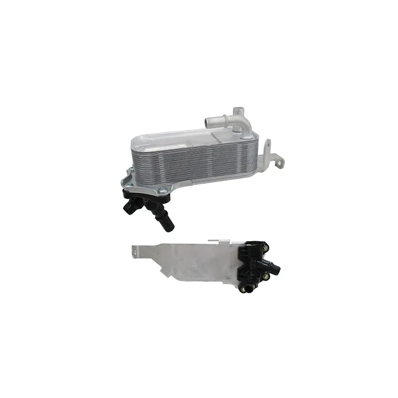 Radiateur d'huile HOFFER 8095248