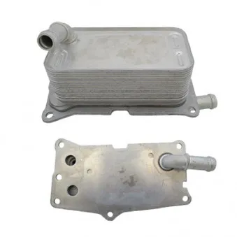 Radiateur d'huile de boîte automatique HOFFER