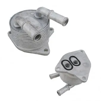 Radiateur d'huile de boîte automatique HOFFER