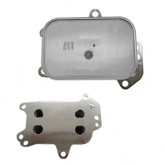 Radiateur d'huile HOFFER 8095287
