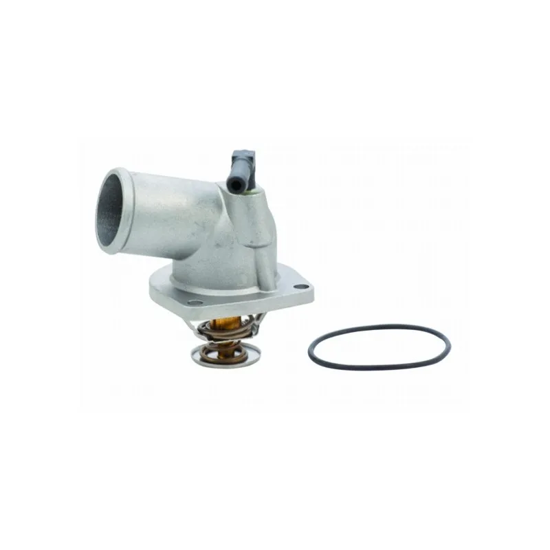 Thermostat, liquide de refroidissement HOFFER 8192056