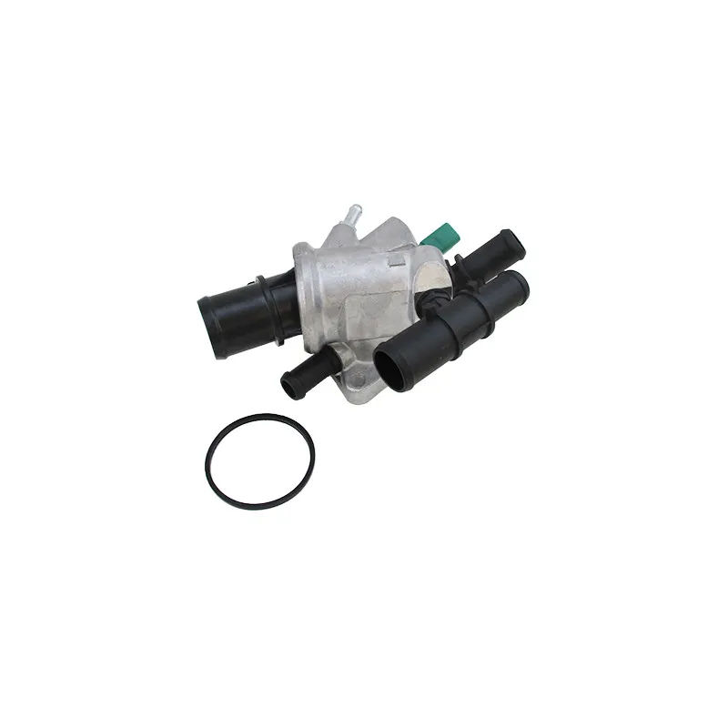 Thermostat, liquide de refroidissement HOFFER 8192072