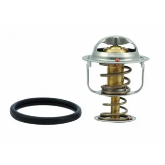 Thermostat, liquide de refroidissement HOFFER