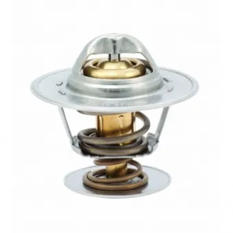 Thermostat, liquide de refroidissement HOFFER 8192125