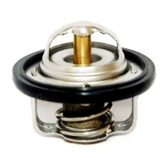 Thermostat, liquide de refroidissement HOFFER