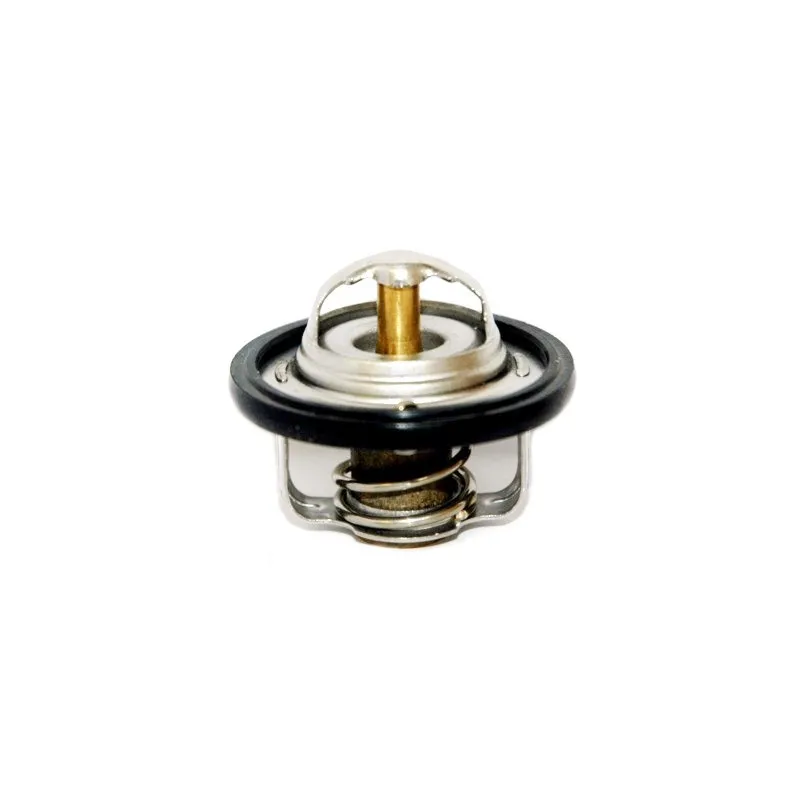 Thermostat, liquide de refroidissement HOFFER 8192130