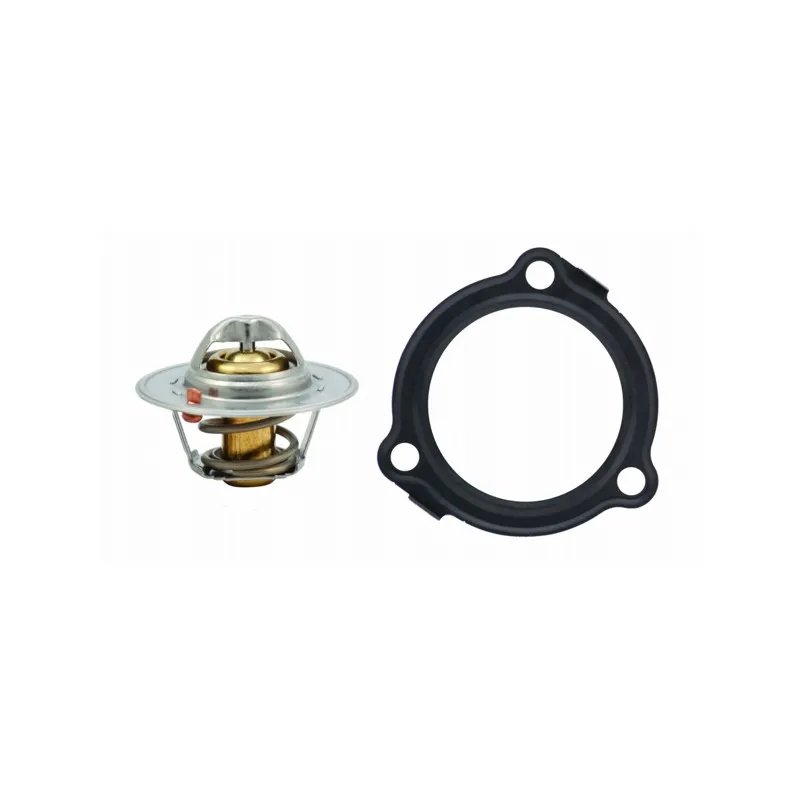 Thermostat, liquide de refroidissement HOFFER 8192138