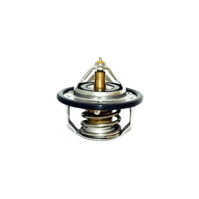 Thermostat, liquide de refroidissement HOFFER 8192140