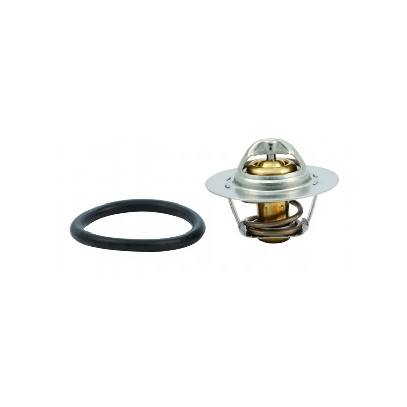 Thermostat, liquide de refroidissement HOFFER 8192143