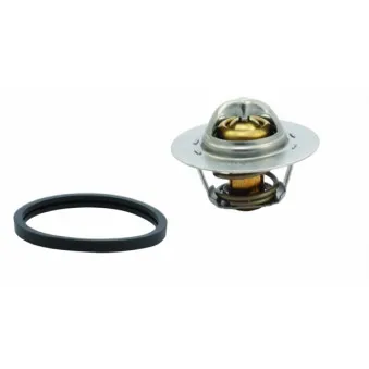Thermostat, liquide de refroidissement HOFFER