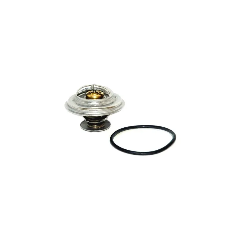 Thermostat, liquide de refroidissement HOFFER 8192171